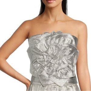 Muse Metallic Silver Strapless Top